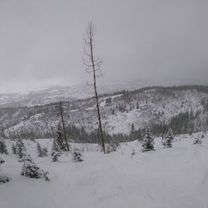 Meet your Posher, Ethan